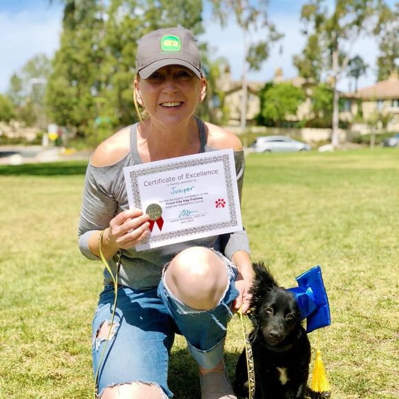 Meet your Posher, Rhondda - Picture 2 of 3